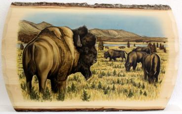 Bison, geschnitzt und gemalt auf Lindenbrett, ca. 68 x 38 cm
